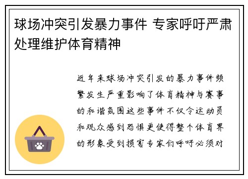 球场冲突引发暴力事件 专家呼吁严肃处理维护体育精神