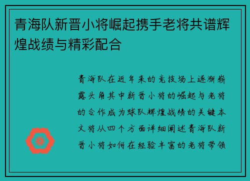 青海队新晋小将崛起携手老将共谱辉煌战绩与精彩配合